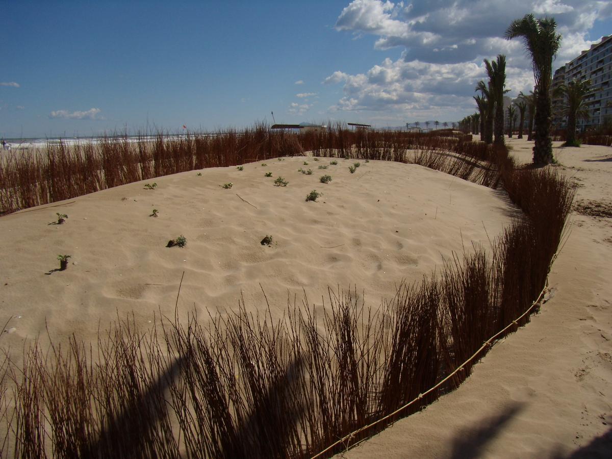 Ag Arena Suite Premium Gandia Exterior photo